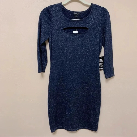 Express Dress - Picture 1 of 7